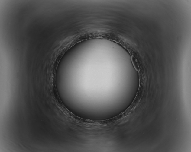 X0000086731061200704130742