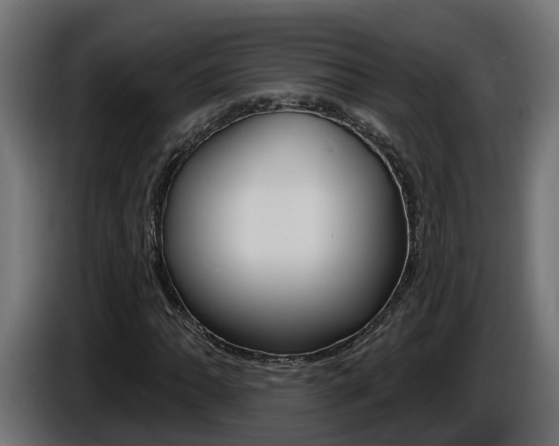 X0000086731062200704130742