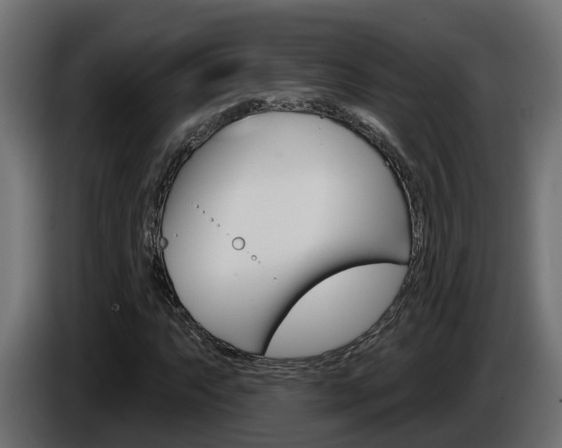 X0000086731063200704130742