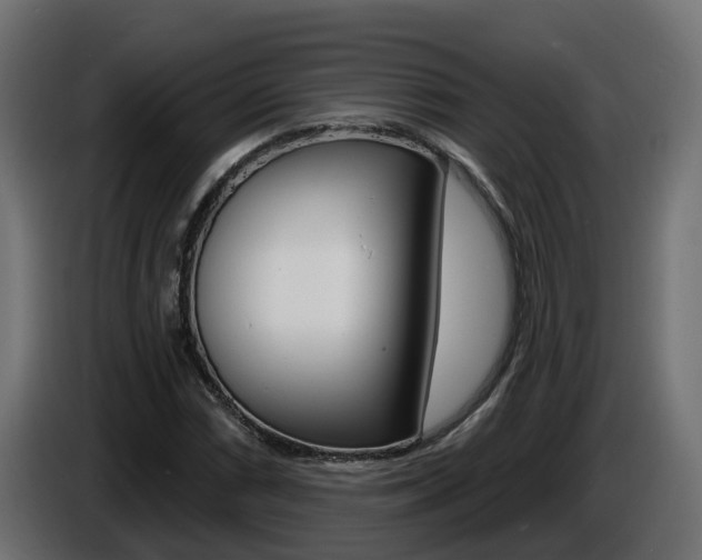 X0000086731066200704130742