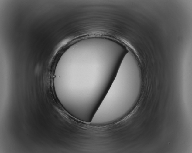 X0000086731067200704130742
