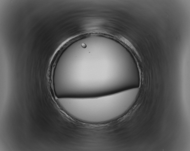 X0000086731068200704130742