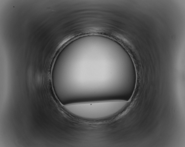 X0000086731073200704130742