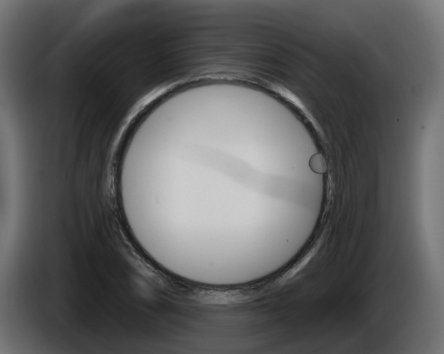 X0000086731074200704130742