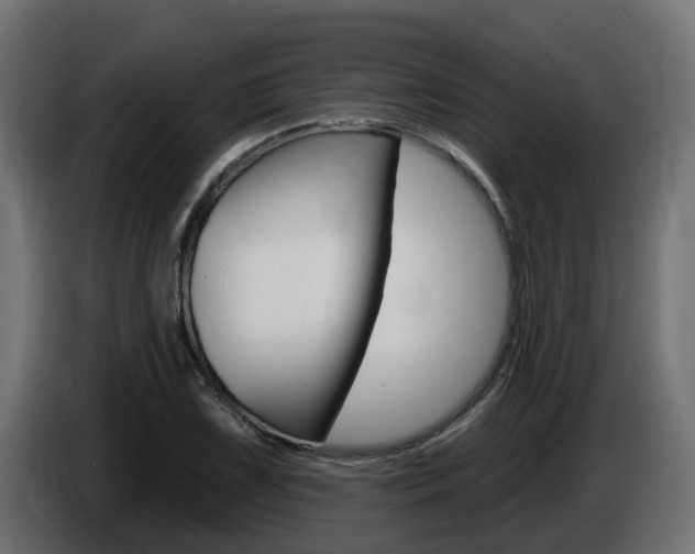 X0000086731075200704130742