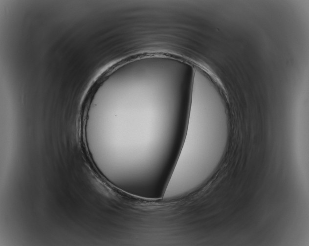 X0000086731076200704130742
