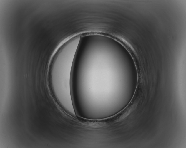 X0000086731077200704130742