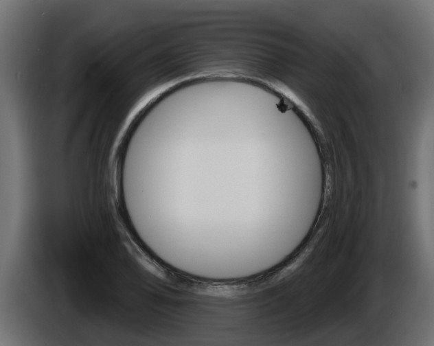 X0000086731078200704130742