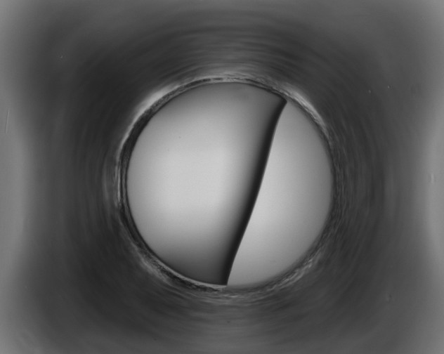 X0000086731079200704130742