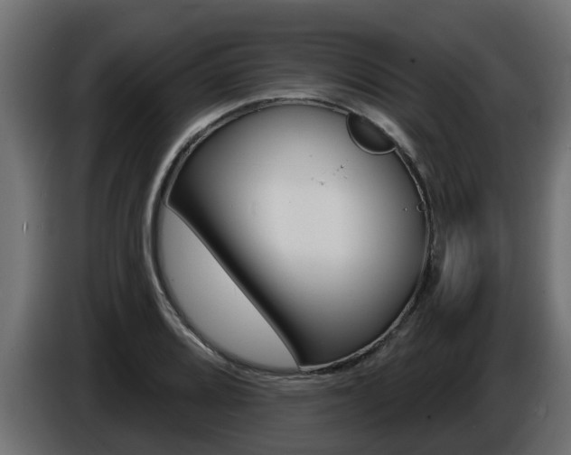 X0000086731080200704130742