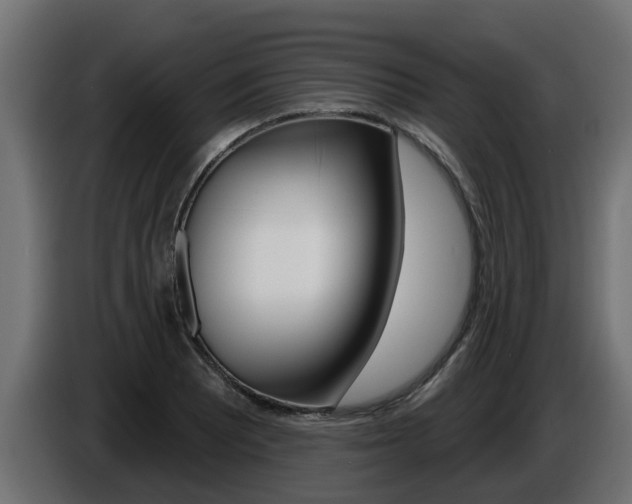 X0000086731081200704130742