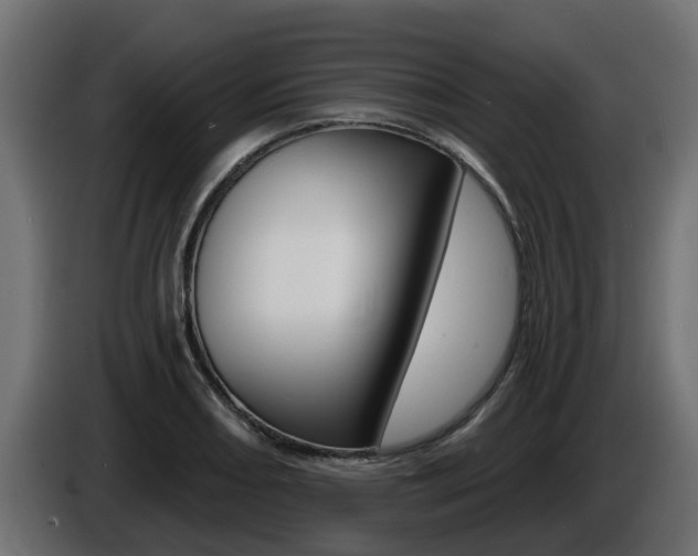 X0000086731082200704130742