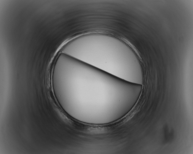 X0000086731083200704130742
