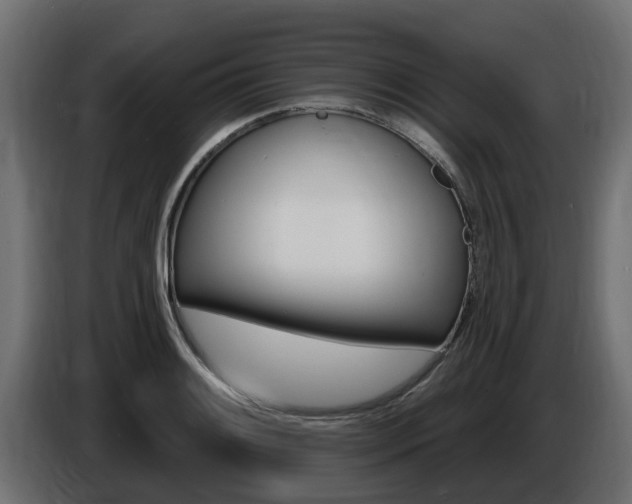 X0000086731084200704130742