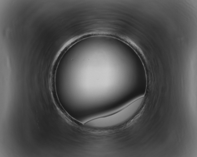 X0000086731085200704130742