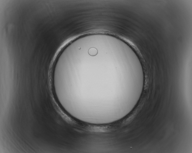 X0000086731086200704130742