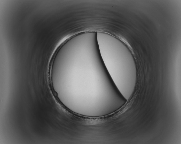 X0000086731087200704130742