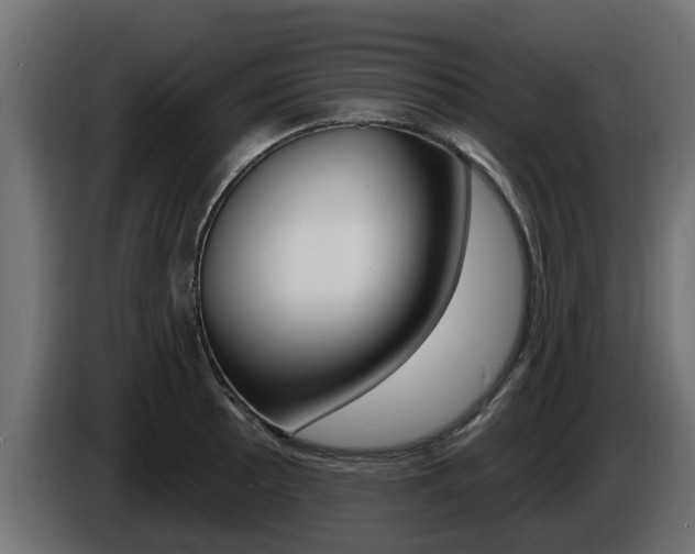 X0000086731089200704130742