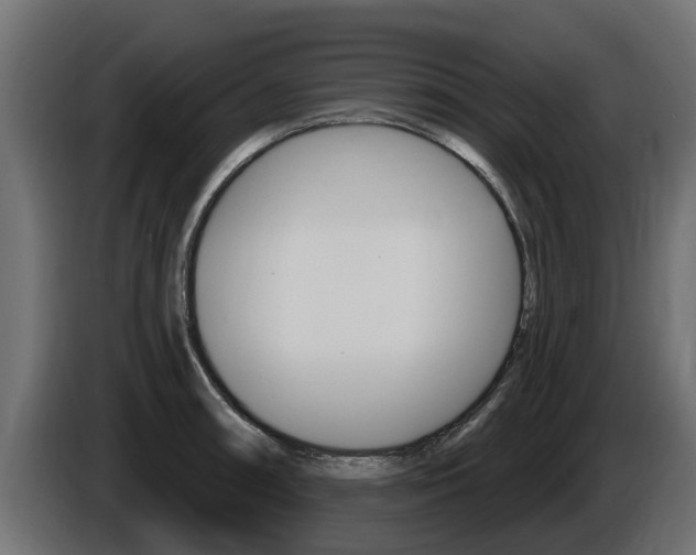 X0000086731090200704130742