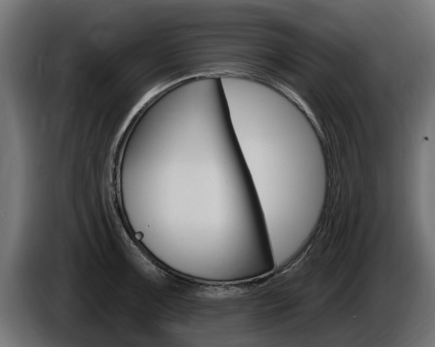 X0000086731091200704130742