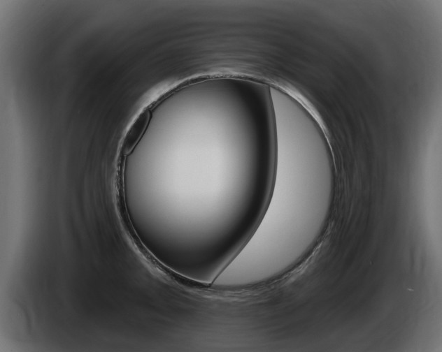 X0000086731093200704130742