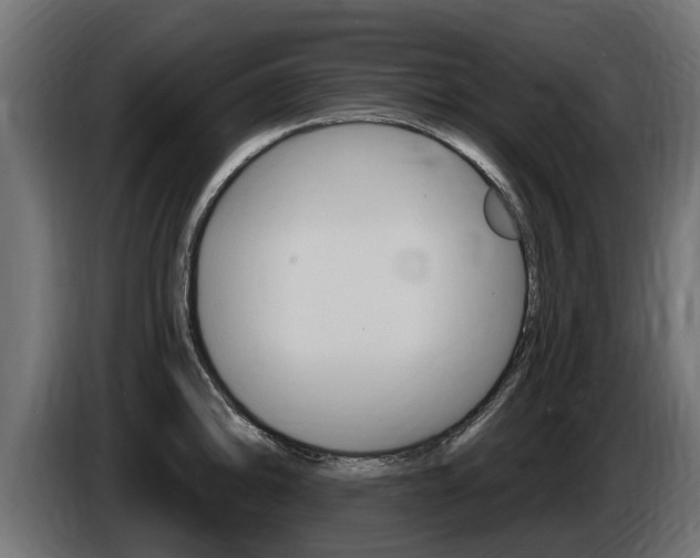 X0000086731094200704130742