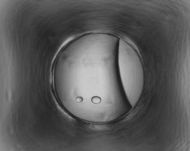 X0000086731095200704130742