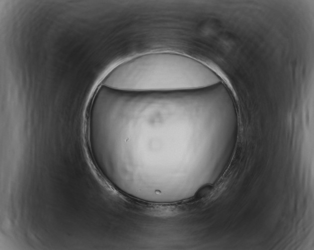X0000086731096200704130742
