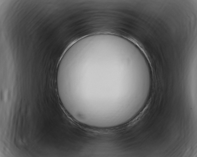 X0000086731097200704130742