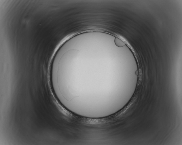 X0000086731098200704130742