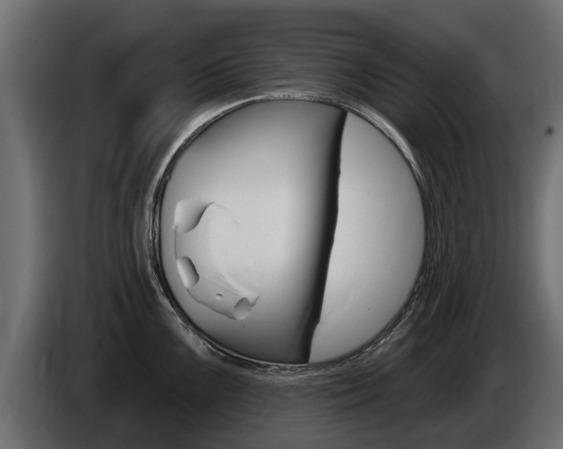 X0000086731099200704130742