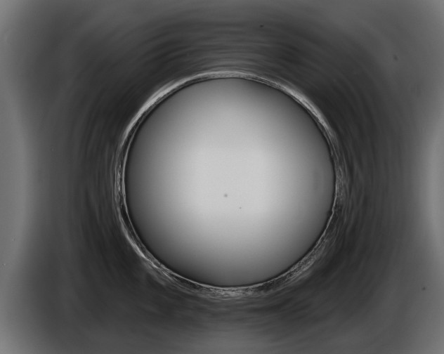 X0000086731101200704130742