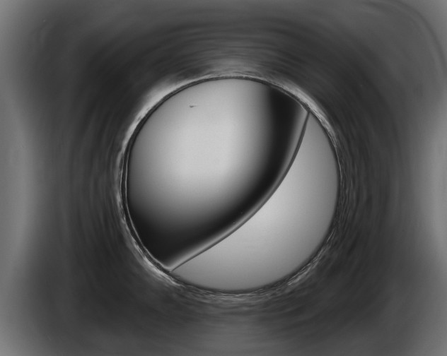 X0000086731102200704130742