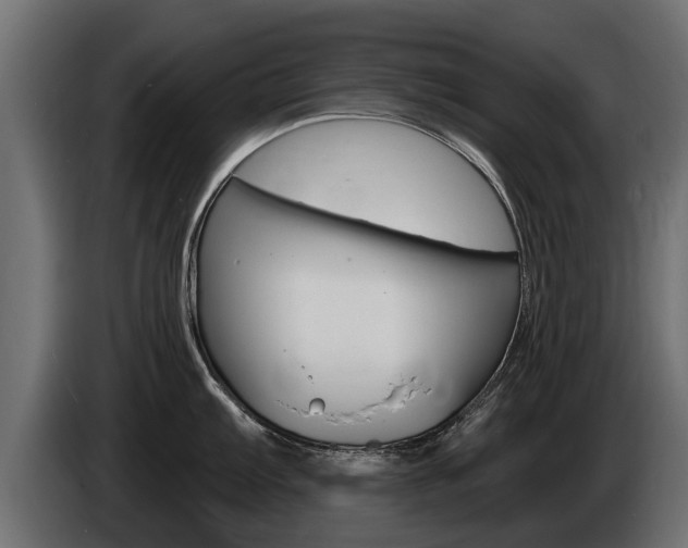 X0000086731103200704130742