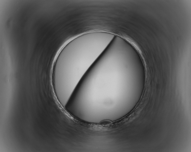 X0000086731104200704130742
