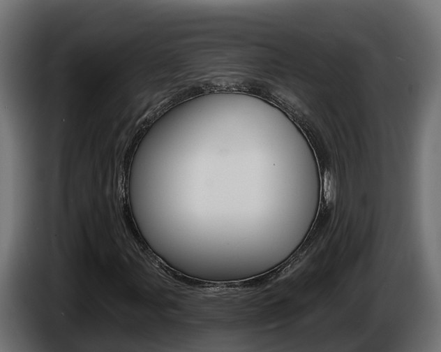 X0000086731107200704130741