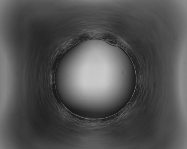 X0000086731108200704130741