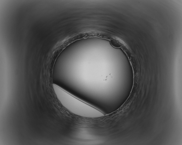 X0000086731111200704130741