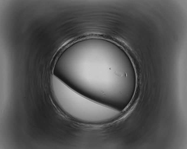 X0000086731113200704130741