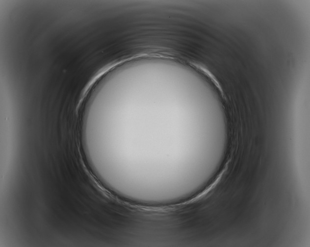 X0000086731114200704130741