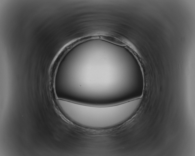 X0000086731116200704130741