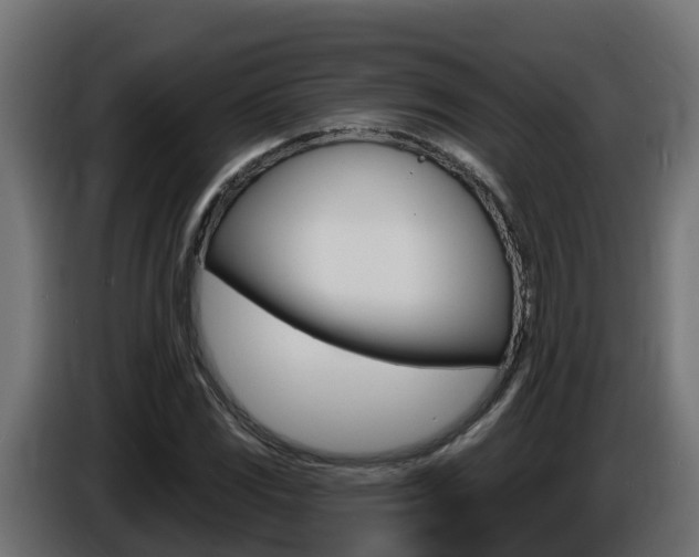 X0000086731117200704130741