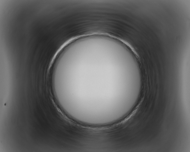 X0000086731118200704130741