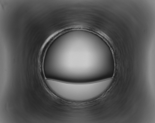 X0000086731120200704130741