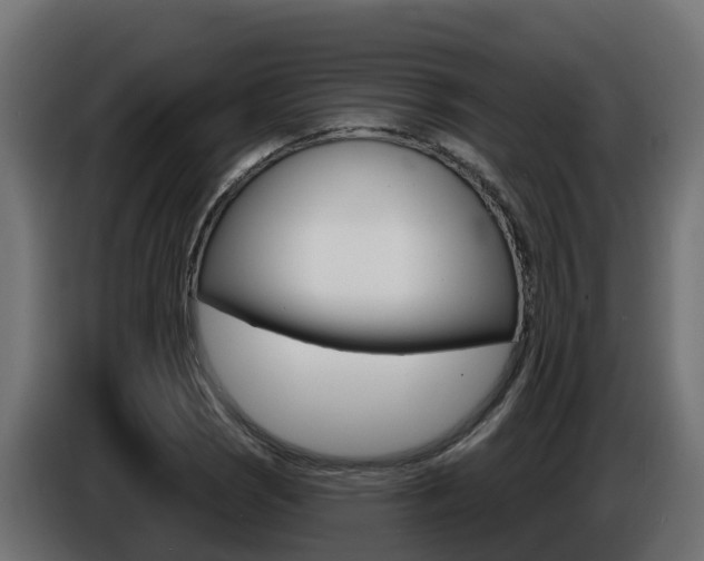 X0000086731121200704130741