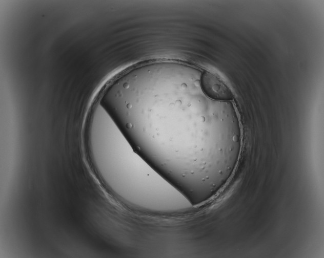 X0000086731125200704130741