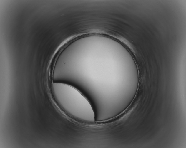 X0000086731126200704130741