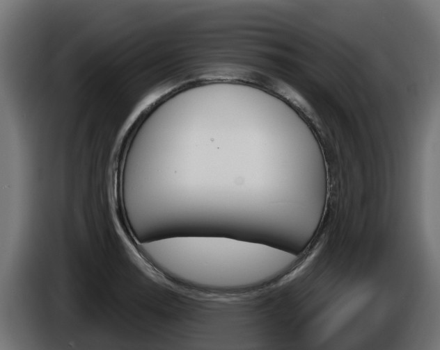 X0000086731130200704130741