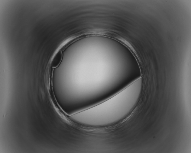 X0000086731131200704130741