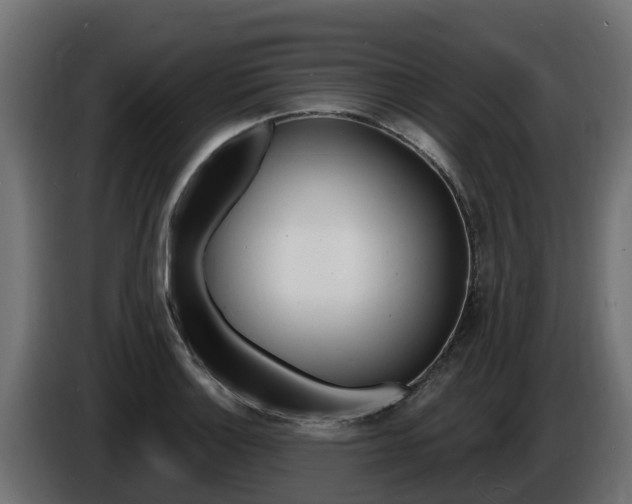 X0000086731132200704130741